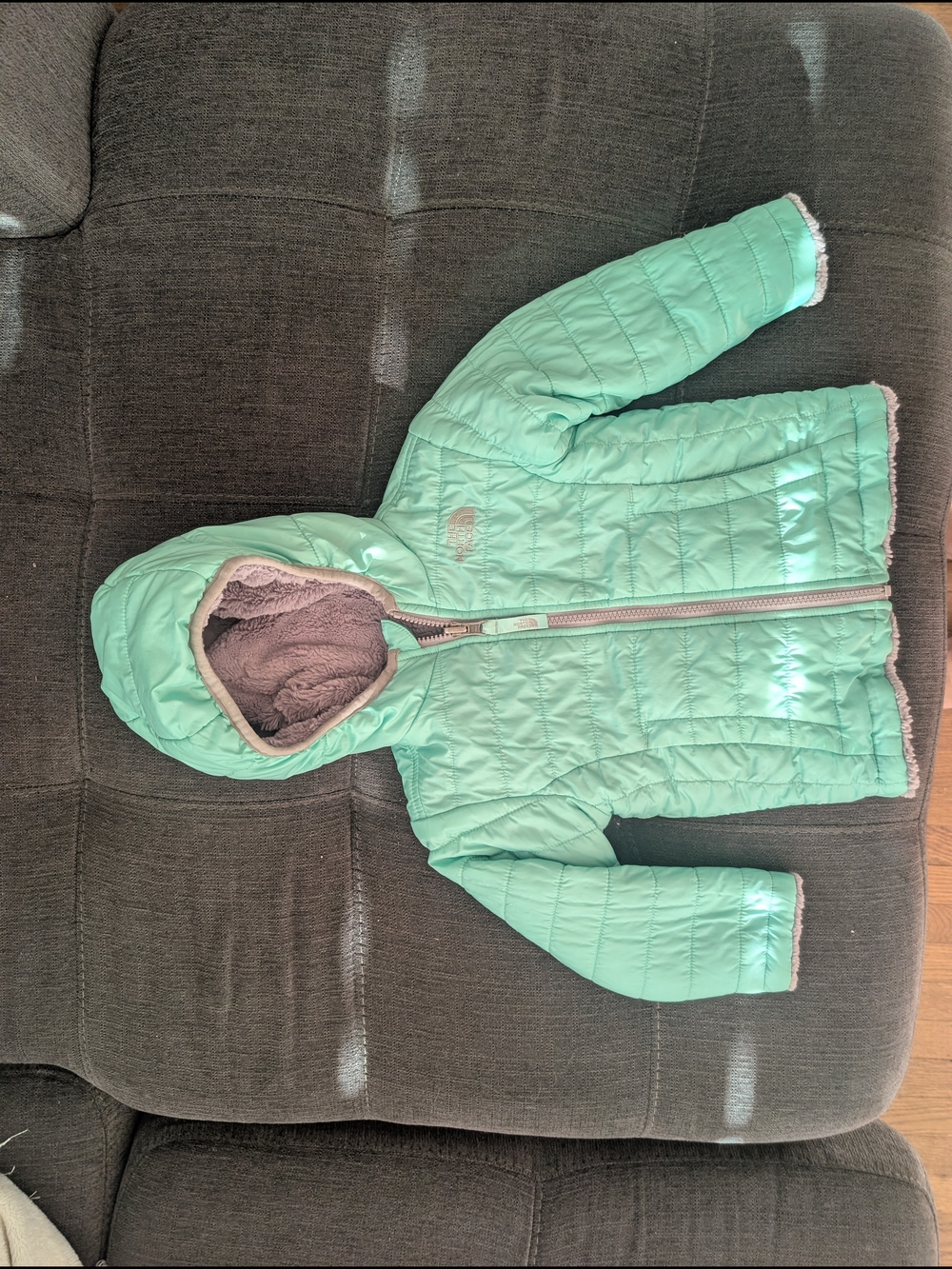 The North Face Mint Quilted Toddler Hooded Jacket